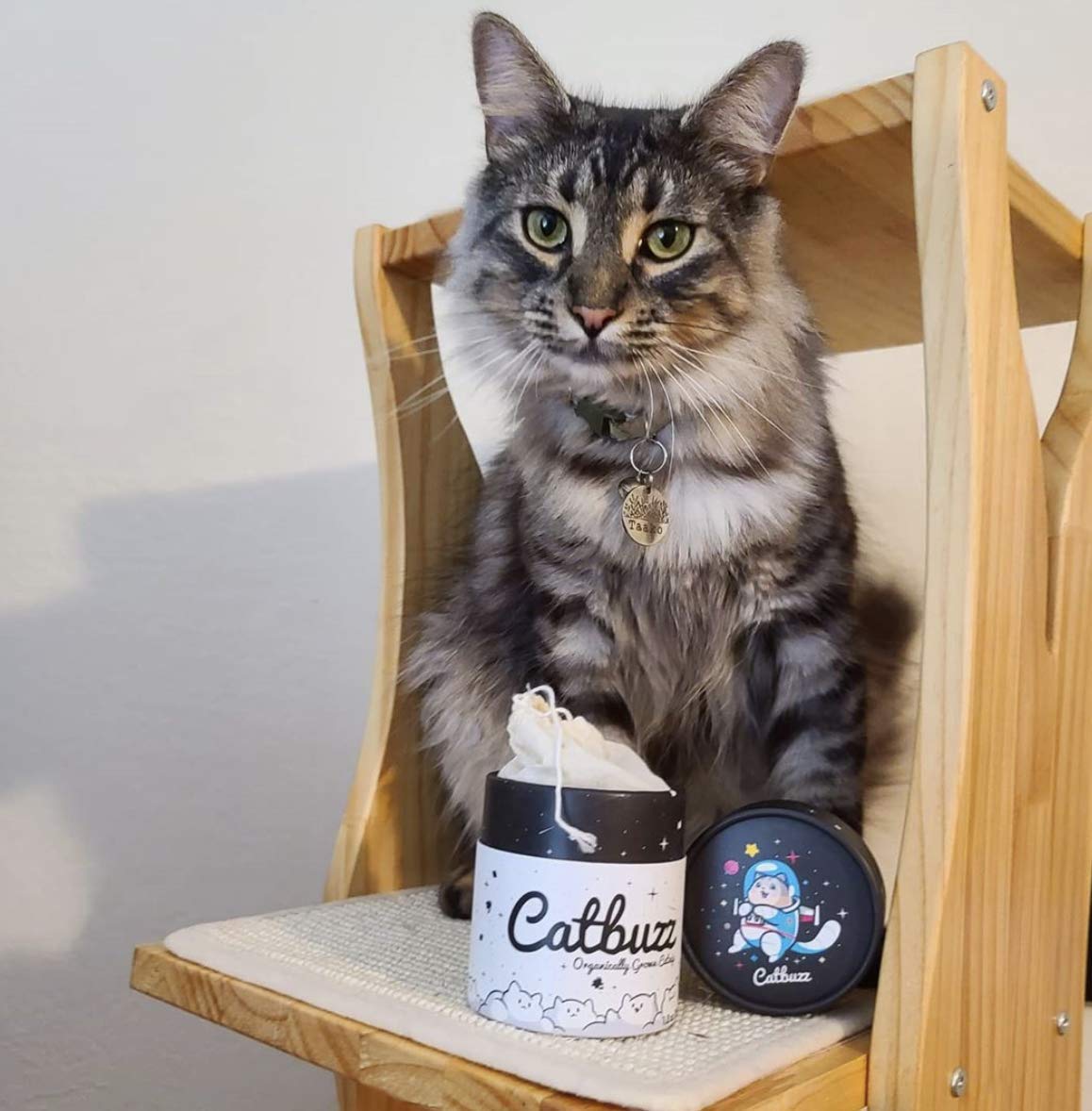 Catbuzz cultivo-washington-estados-unidos garantiza catnip cultivado localmente para mascotas