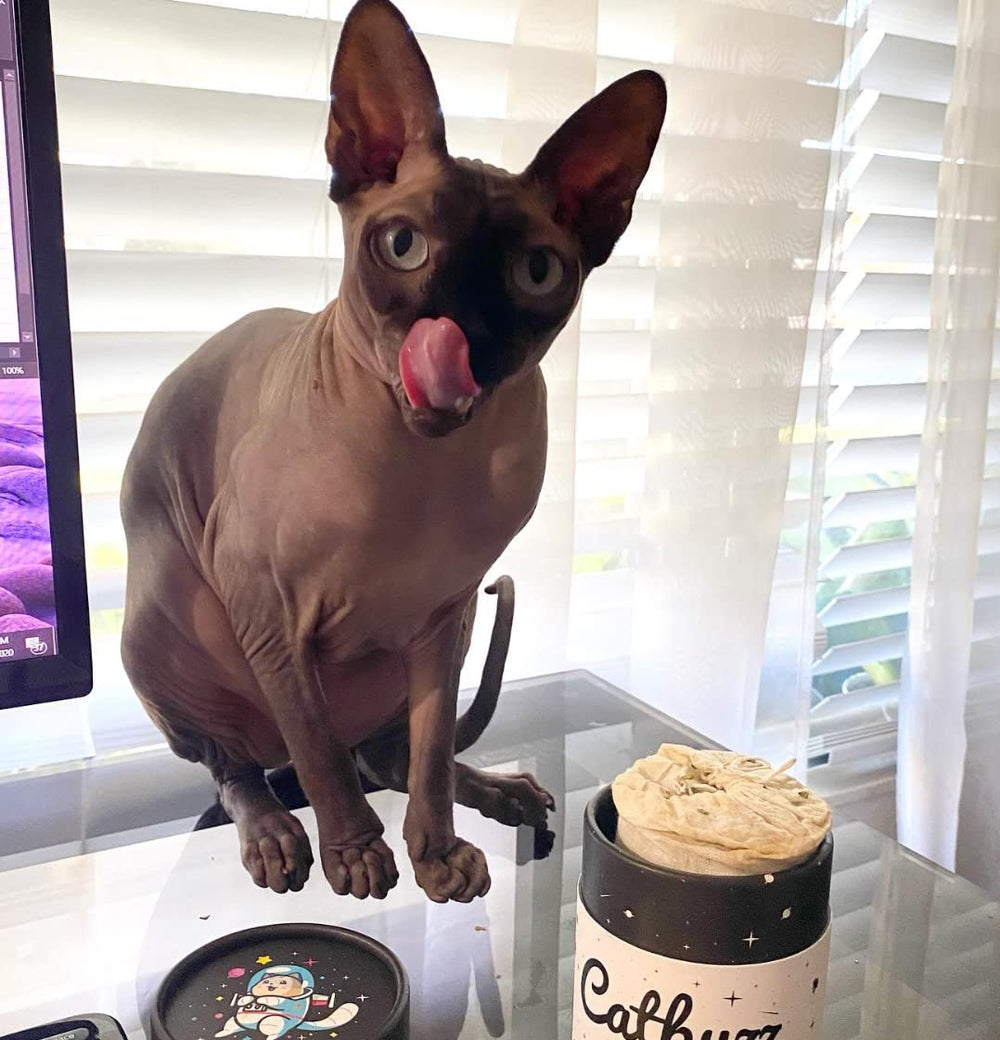 Catbuzz envase-eco-amigable para conservar catnip y evitar desperdicios