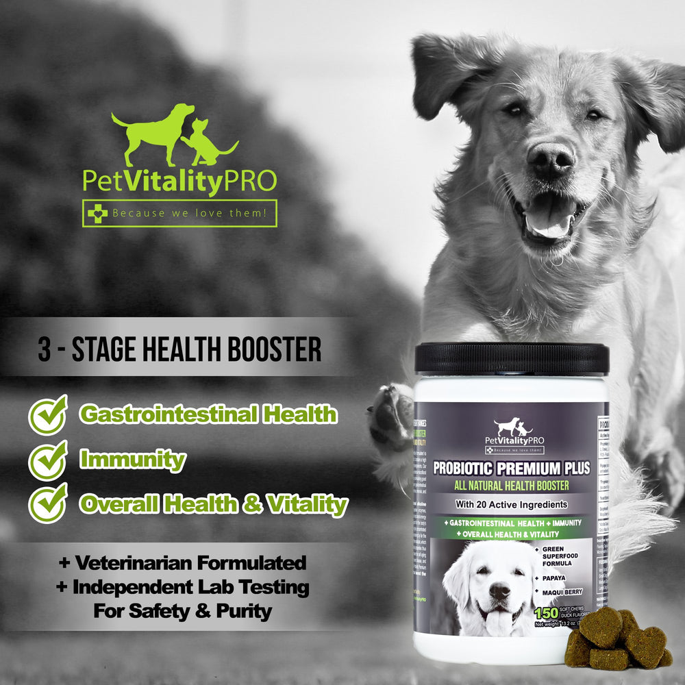 PetVitalityPRO probióticos para perros, etiqueta EE.UU., garantía de calidad.