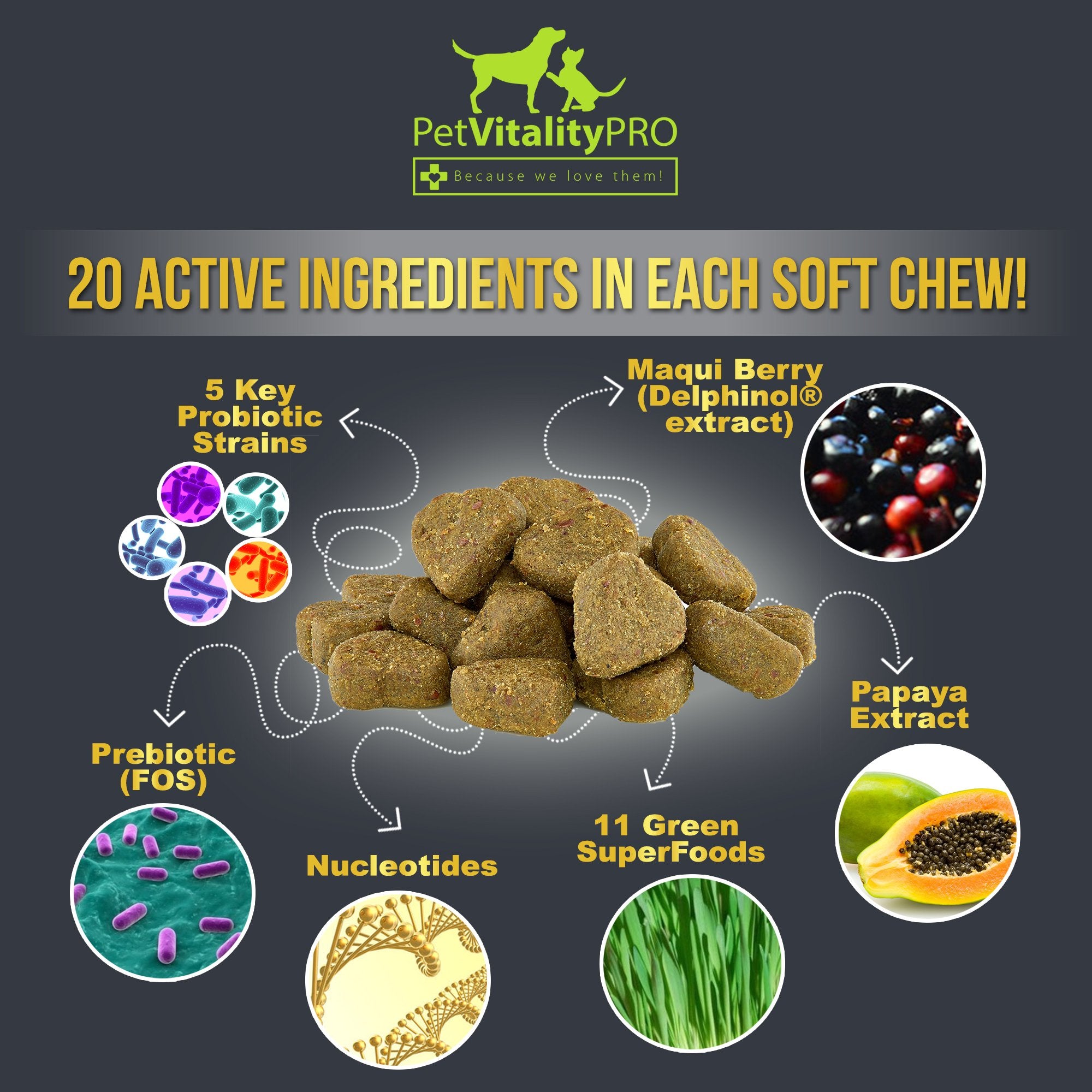 PetVitalityPRO probióticos para perros, ideal para viaje y entrenamiento.