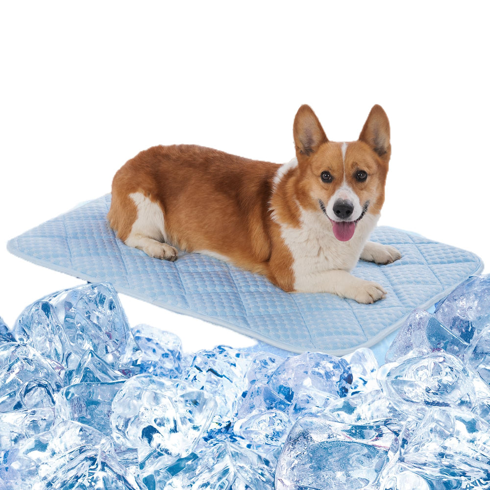 Colchón refrigerante Petvolve 36x24 para perros, enfriamiento inmediato en casa.
