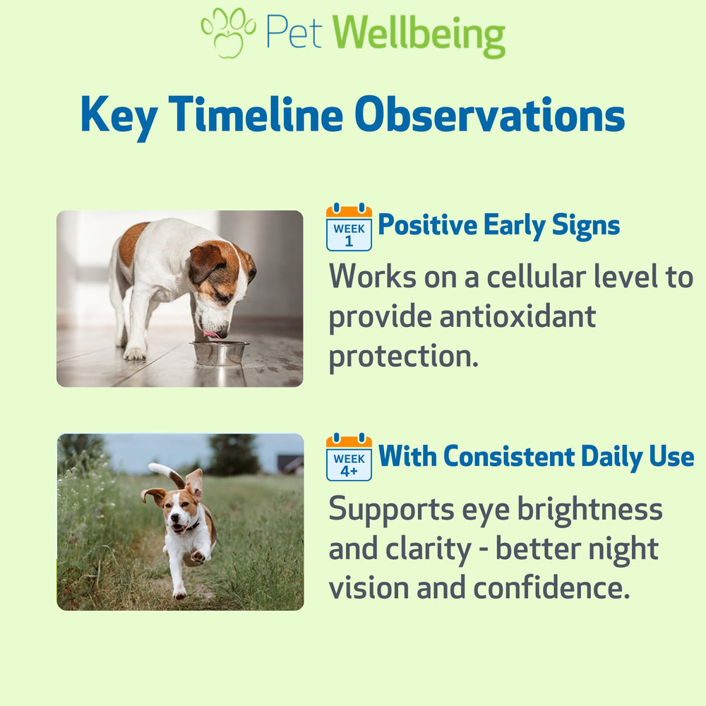 Pet Wellbeing Bilberry, hecho en EE. UU., fórmula veterinaria segura