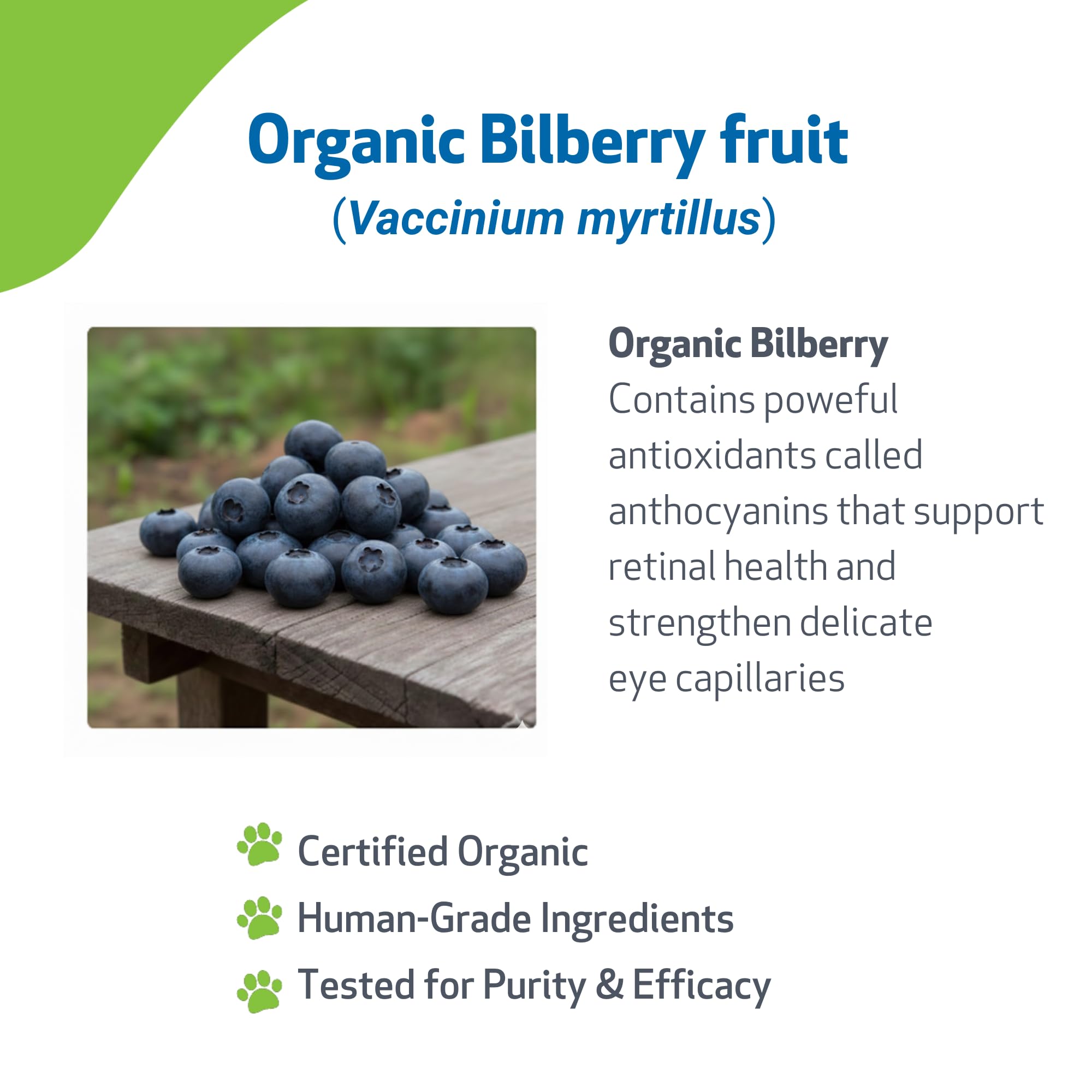 Pet Wellbeing Bilberry líquido, extracto para ojos, mejor absorción diaria