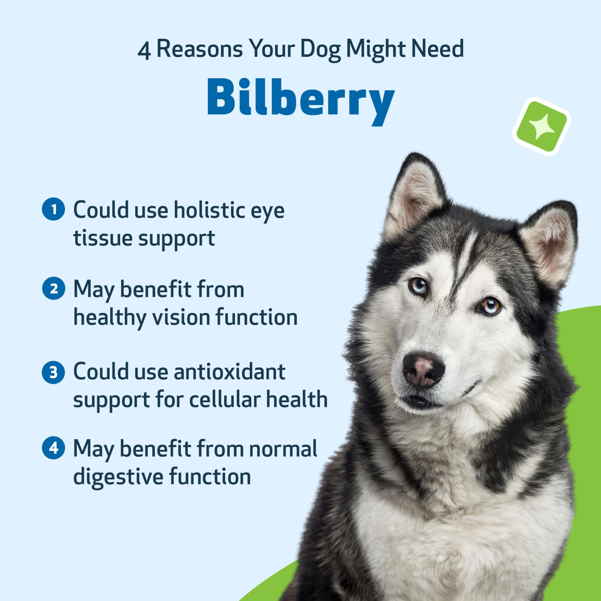 Pet Wellbeing Bilberry, uso diario fácil para el cuidado ocular