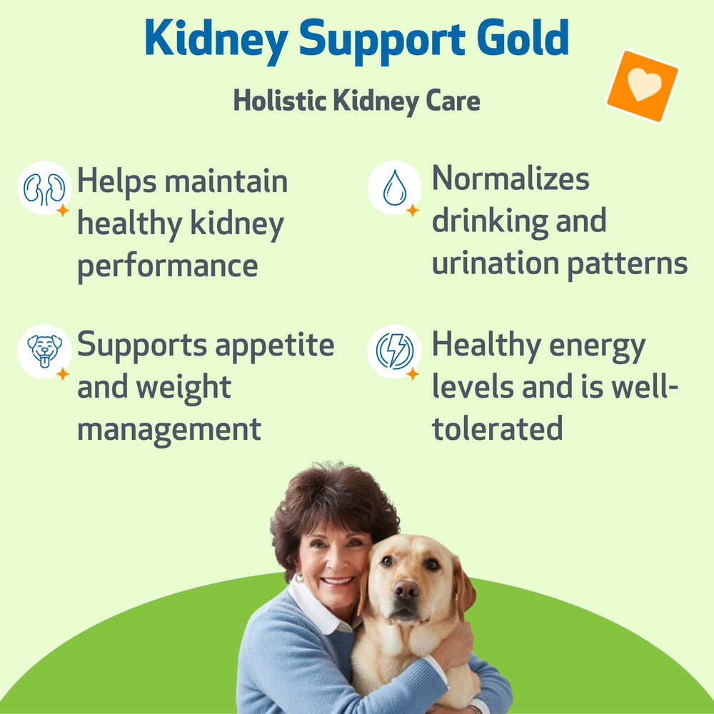 Pet Wellbeing Kidney Support Gold con gotero para dosificación precisa.