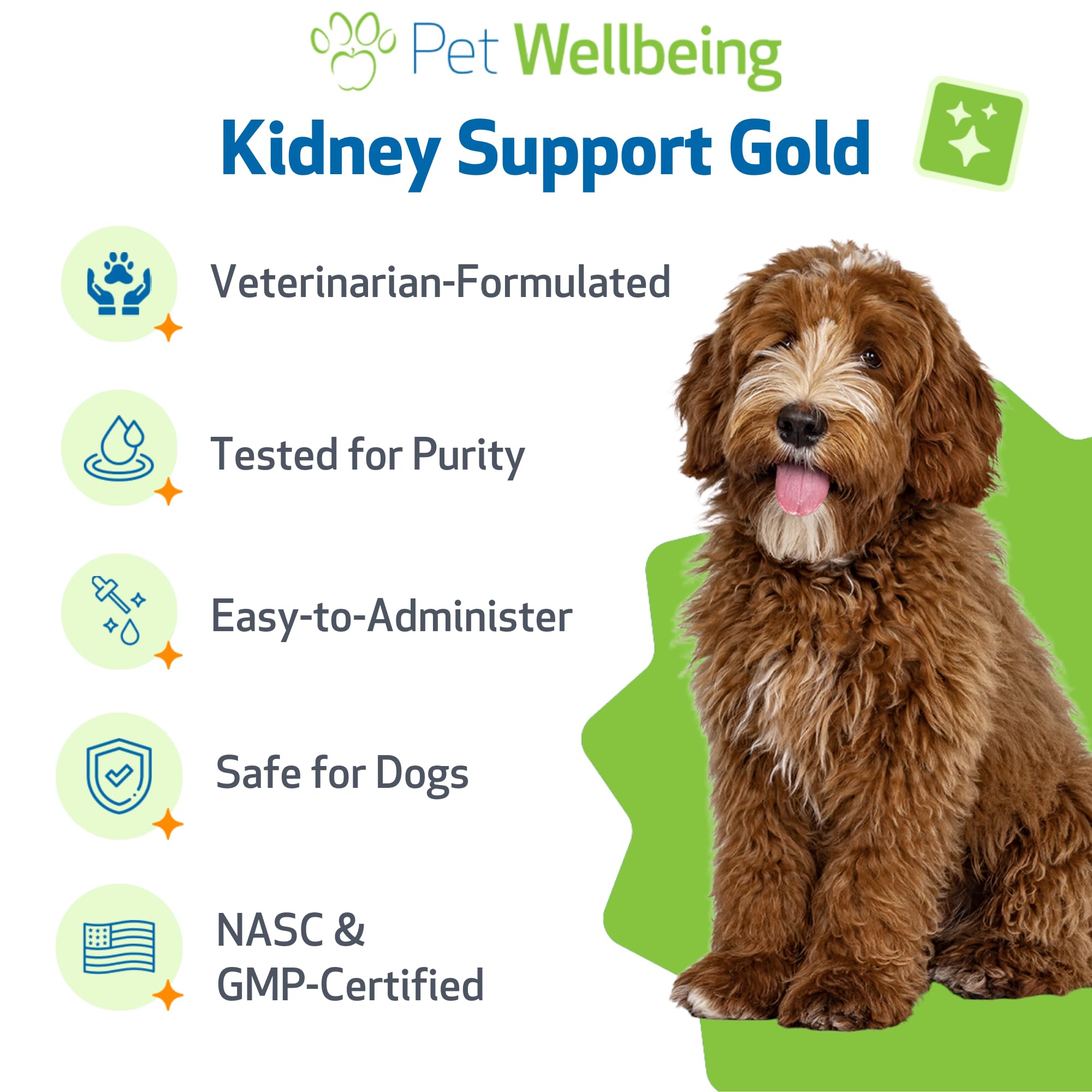 Pet Wellbeing Kidney Support Gold empaque exterior para fácil almacenamiento.