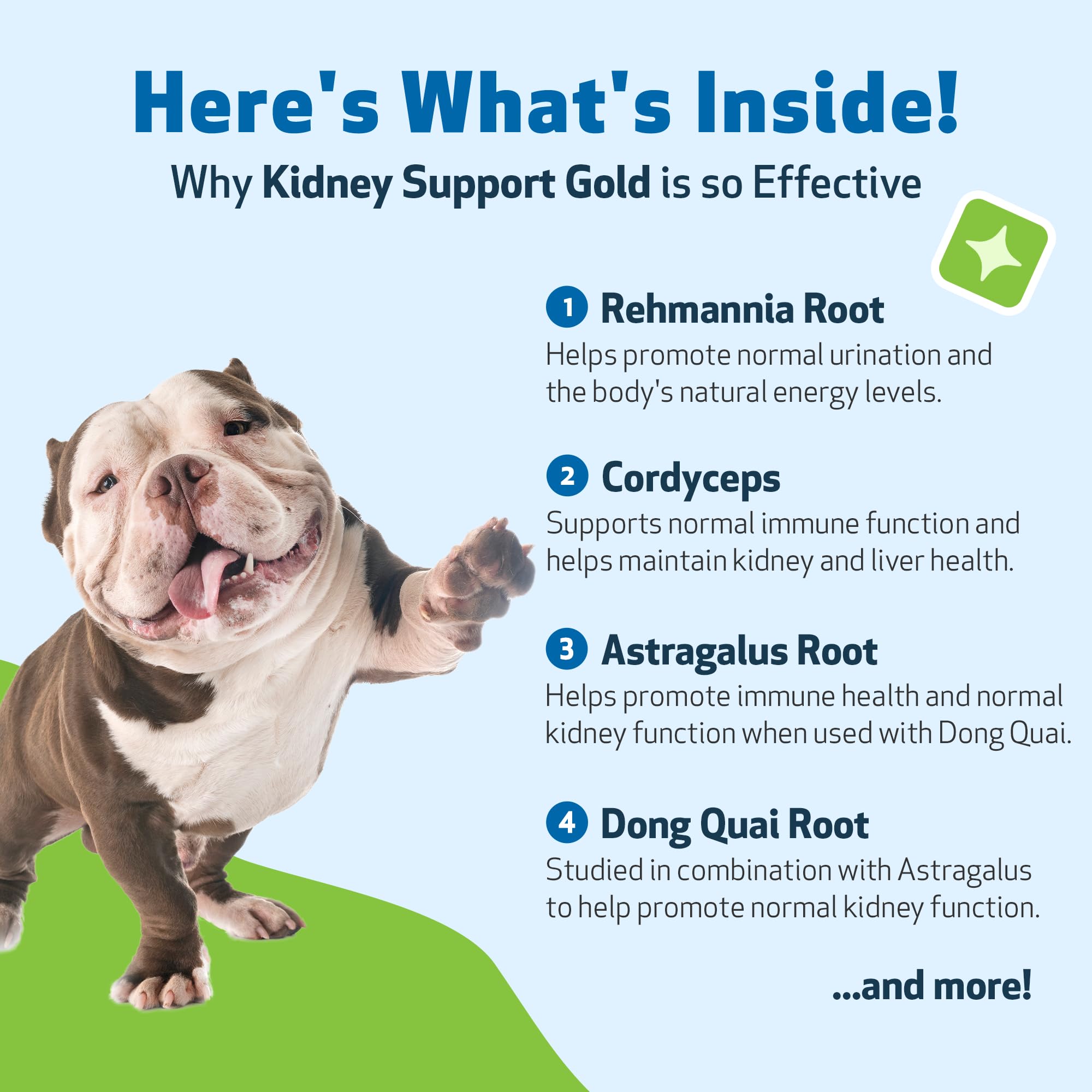 Pet Wellbeing Kidney Support Gold etiqueta mostrando ingredientes clave.