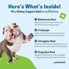 Pet Wellbeing Kidney Support Gold etiqueta mostrando ingredientes clave.