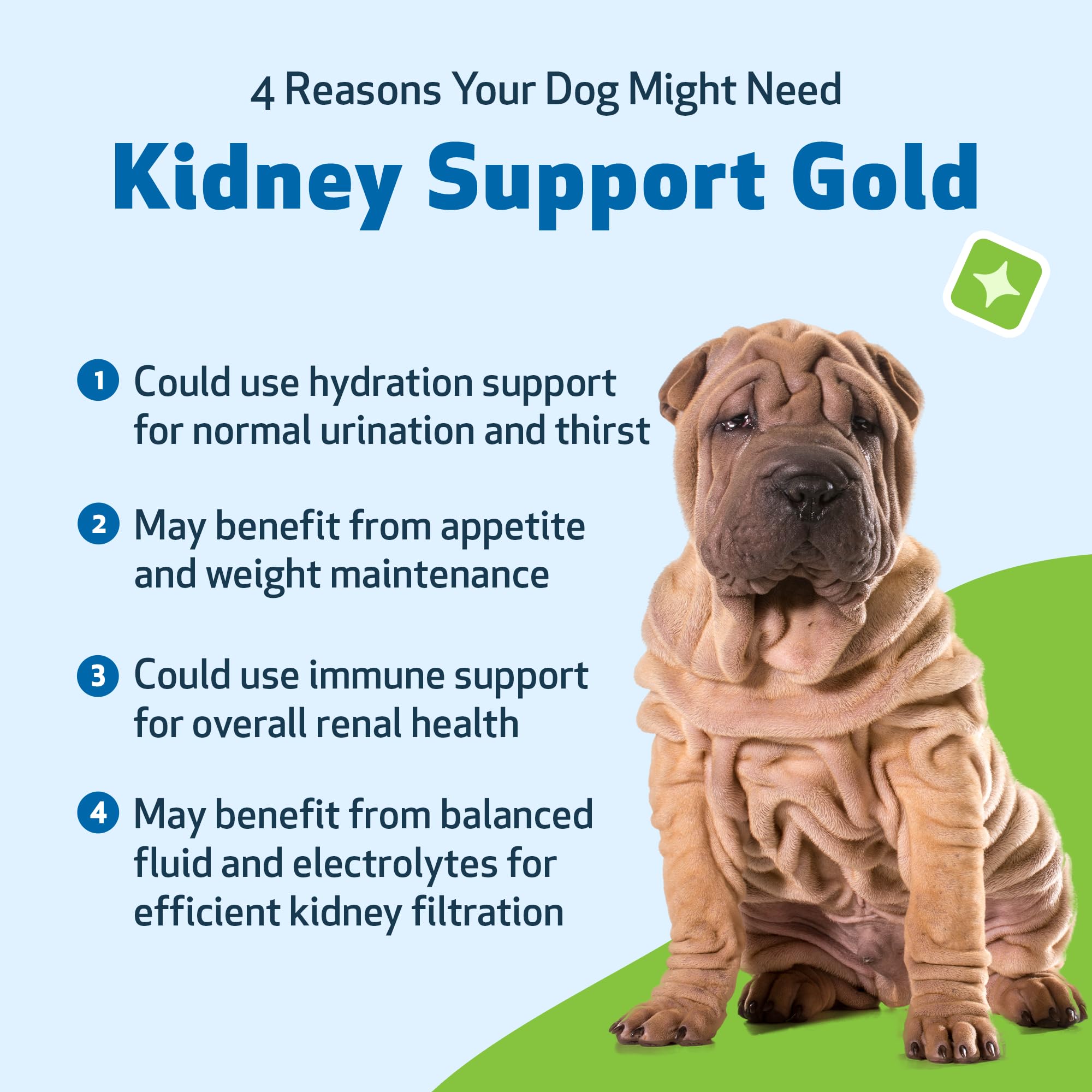 Pet Wellbeing Kidney Support Gold presentación de 118 ml lista para usar.