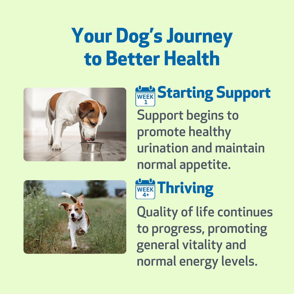 Pet Wellbeing Kidney Support Gold hierbas clave visibles en la mezcla.