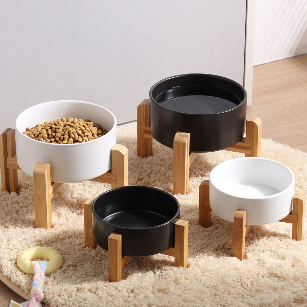 Petygooing uso en casa, cuenco cerámico cómodo para comidas diarias.