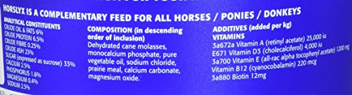 PFIFF Horslyx Minis antioxidantes para resistencia diaria