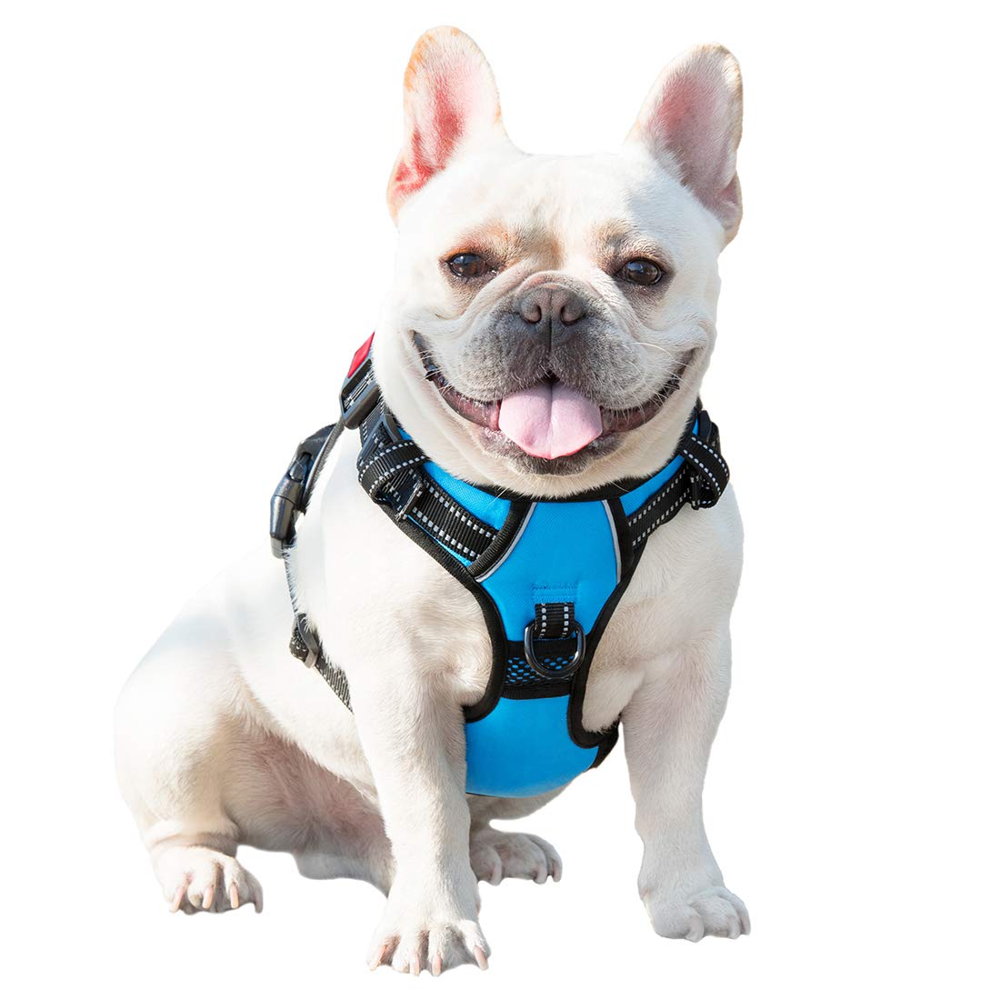 PHOEPET Arnes azul para perros pequenos