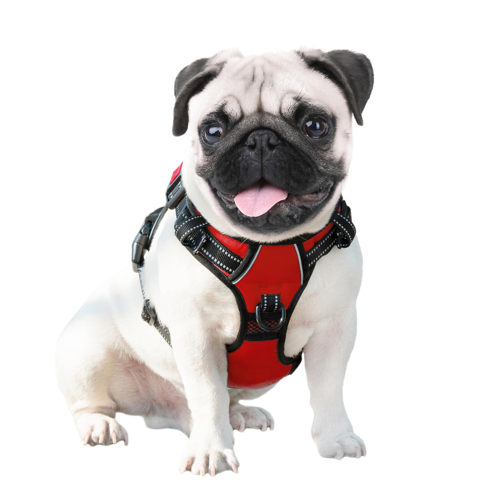 PHOEPET arnés cómodo y seguro para paseos diarios al aire libre rojo