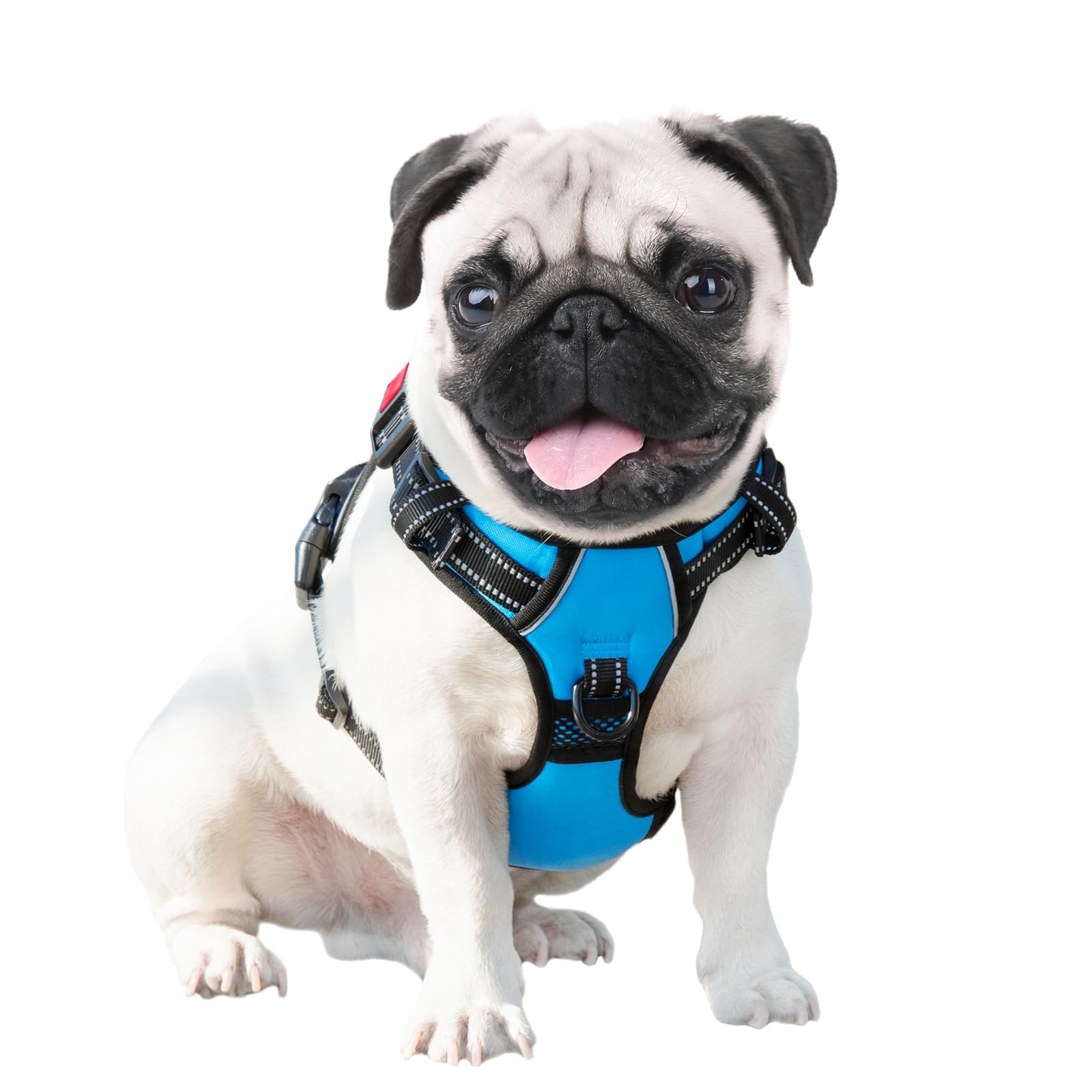 PHOEPET arnés azul mediano, comodidad diaria para perros