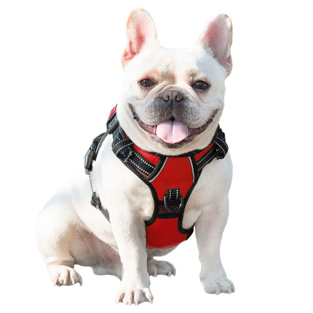 PHOEPET arnés rojo para paseos nocturnos y seguros.