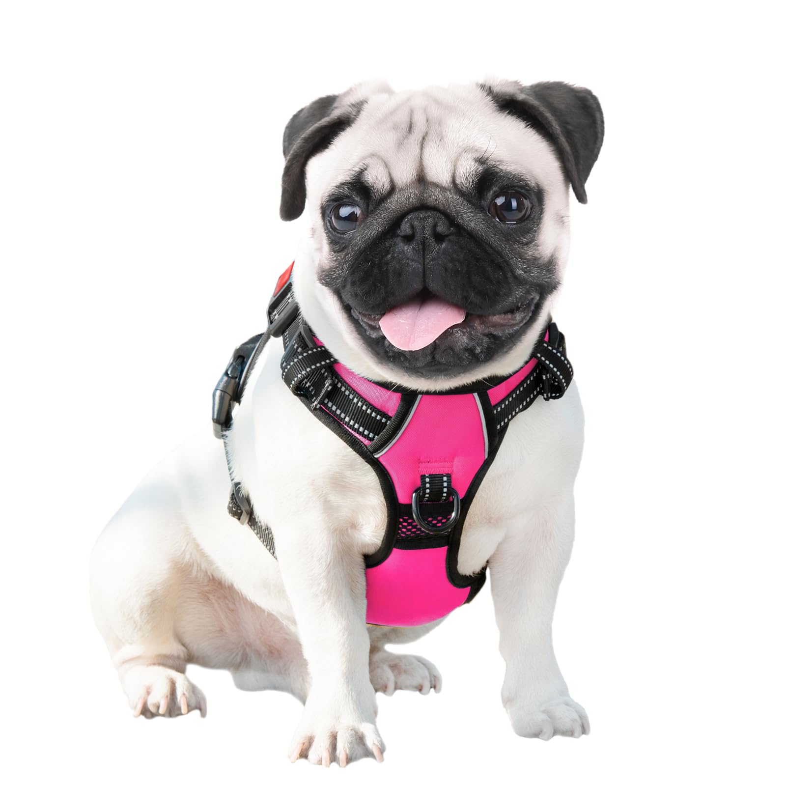 PHOEPET arnés con material reflectante para seguridad en la oscuridad