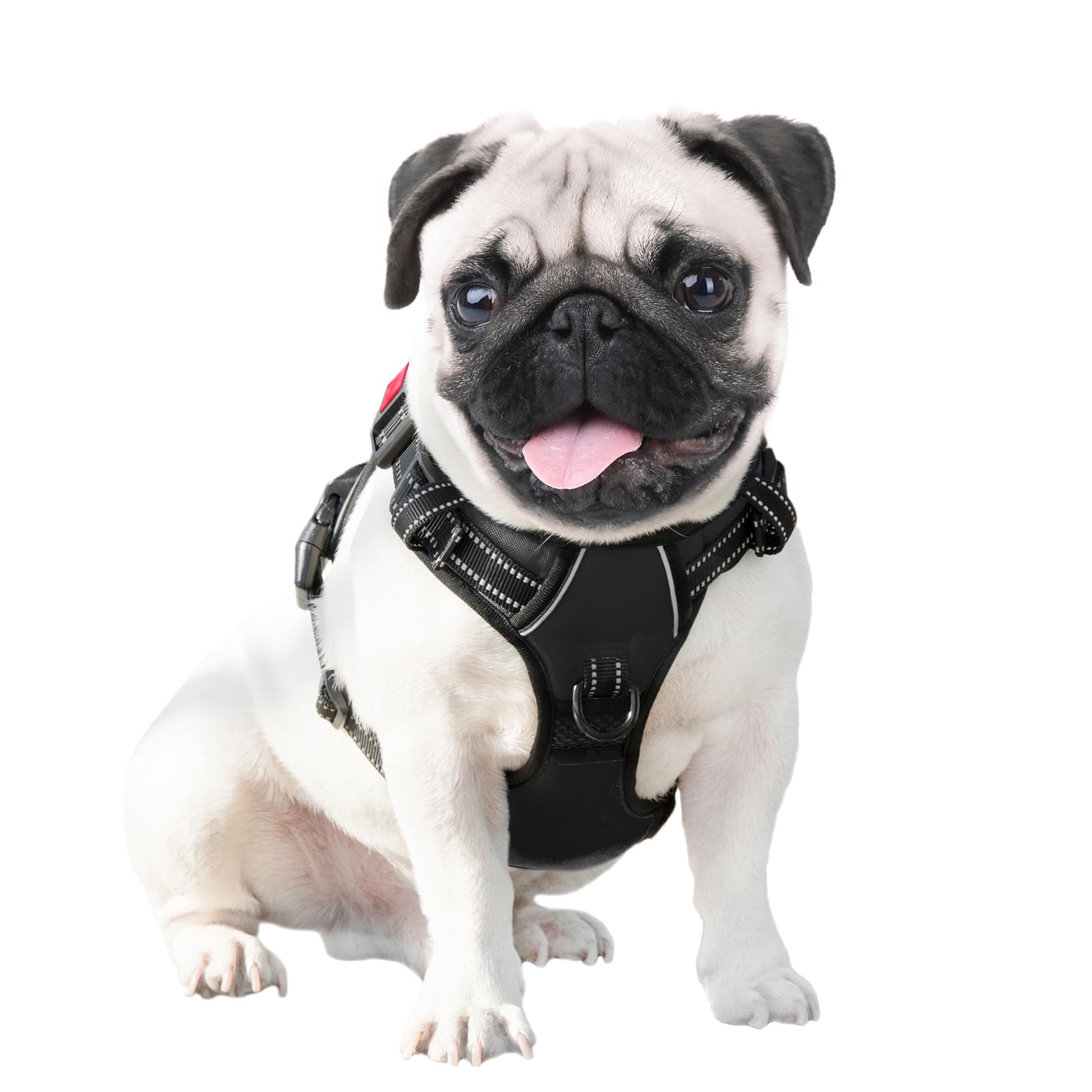 PHOEPET ajuste cómodo y seguro para perros pequeños en talla S.