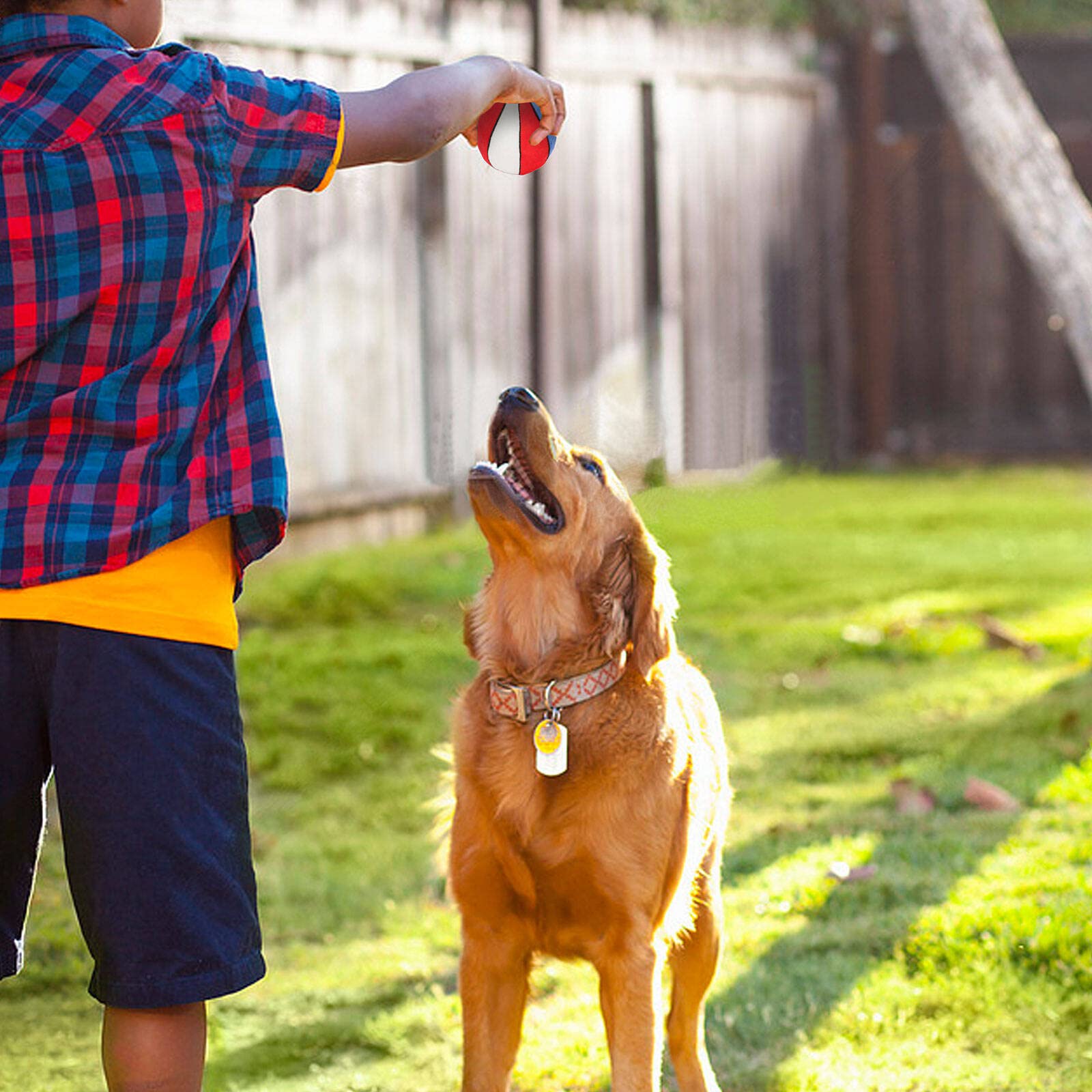 PIANG GOUER: regalo de cumpleaños para perros, sorpresa para tu compañero peludo.