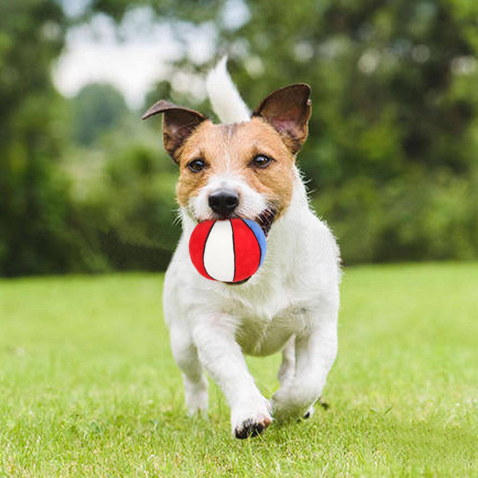 PIANG GOUER: regalo navideño para perros, opción divertida para fiestas.