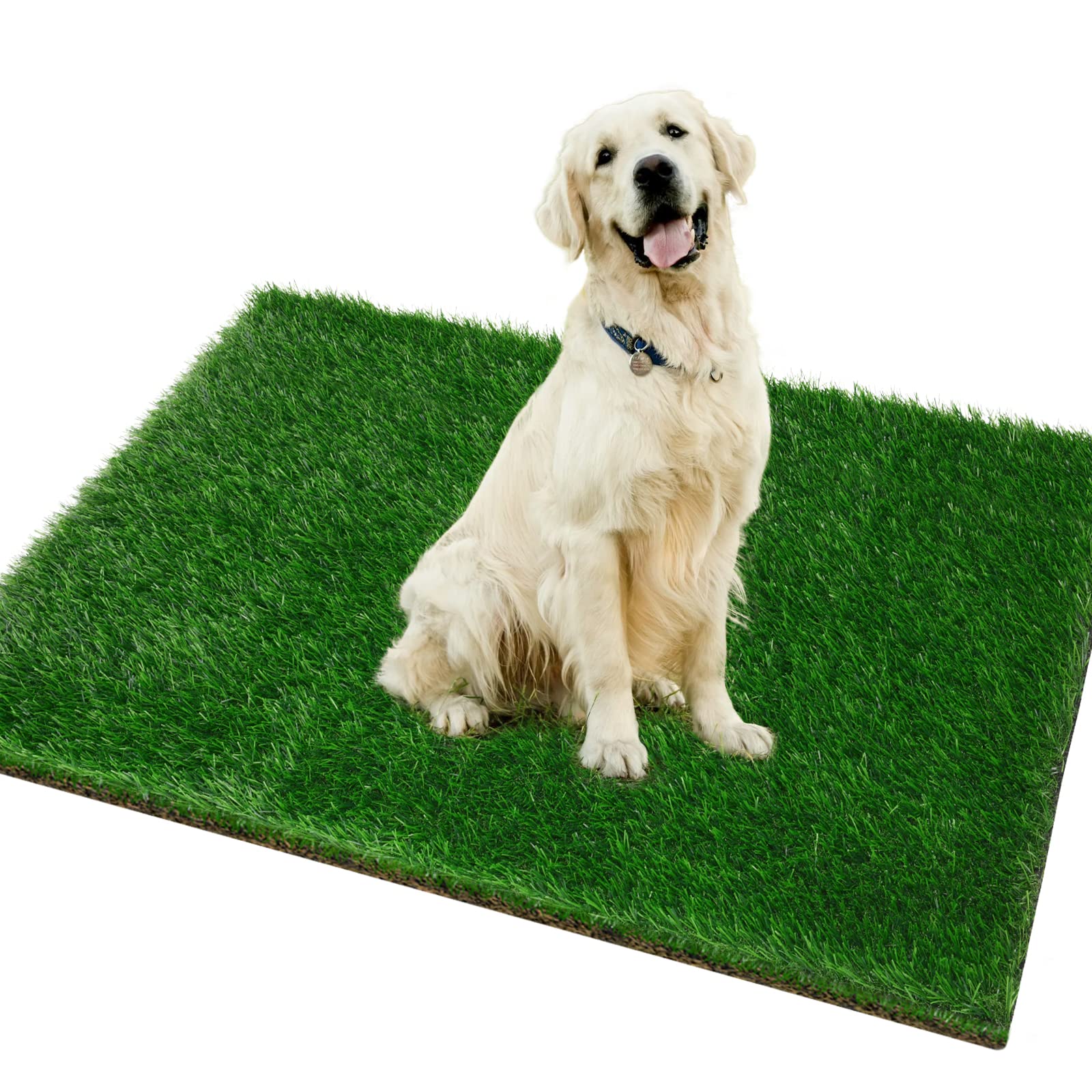 PICK FOR LIFE alfombra césped artificial: superficie suave para perros y entrenamiento