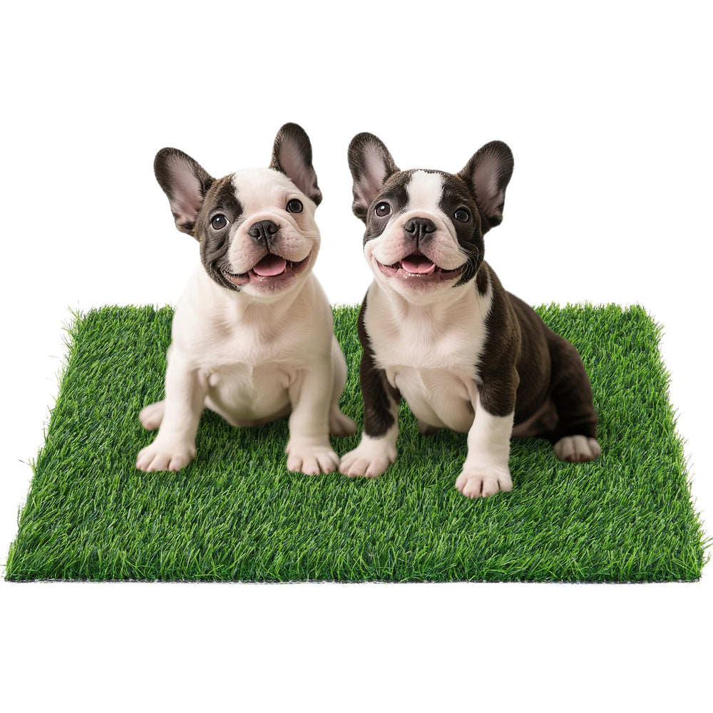 PICK FOR LIFE cesped artificial para perros, ideal para entrenamiento en casa.
