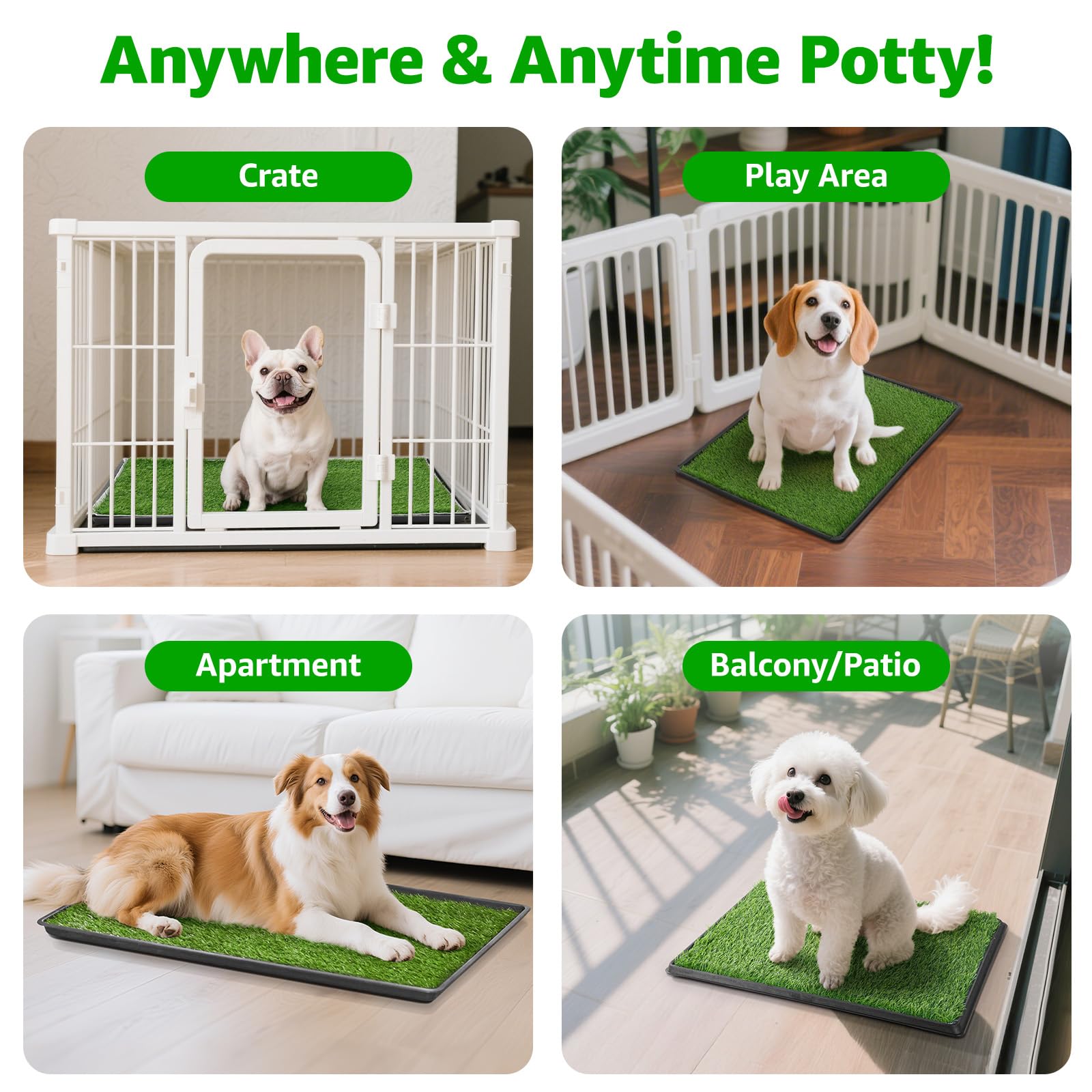 PICK FOR LIFE: guía de entrenamiento para cachorros pequeños y facilitar hábitos.