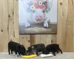 Piggy Poo y Crew juguete interactivo para perros pequeños ideal para casa