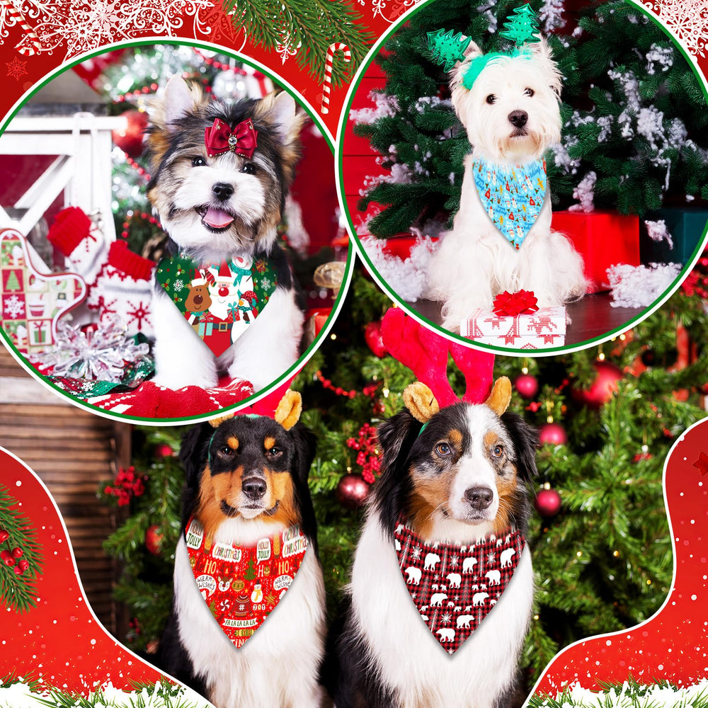 Bandana Piklodo para perro con diseño adorable, perfecto para paseos.