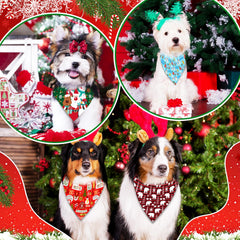 Bandana Piklodo para perro con diseño adorable, perfecto para paseos.