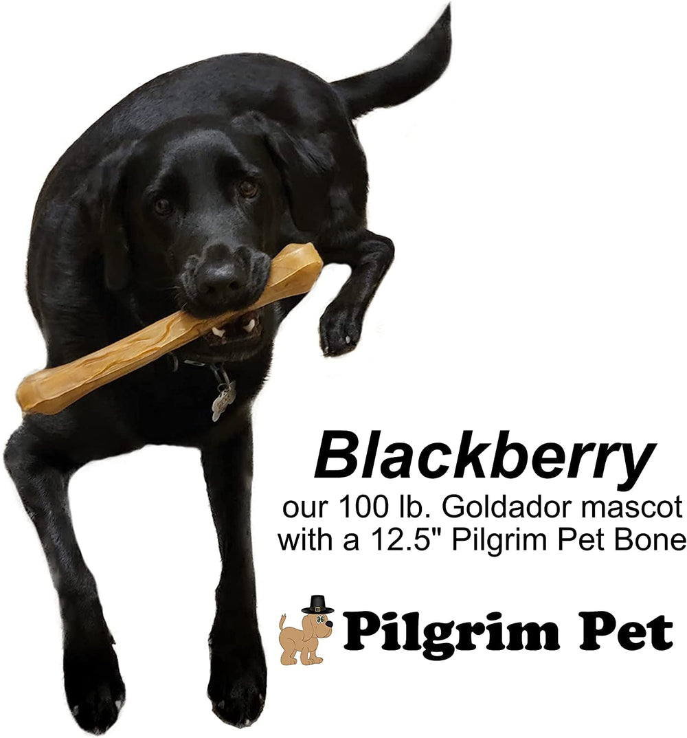 Pilgrim Pet fábrica familiar en EE. UU. con enfoque en seguridad.