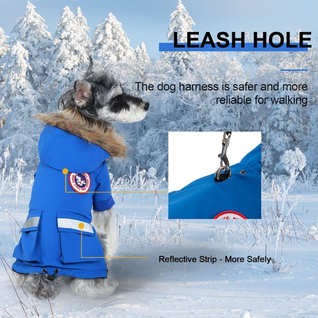 Chaqueta PINA para perro pequeño con ajuste de cintura y cordón para mejor ajuste
