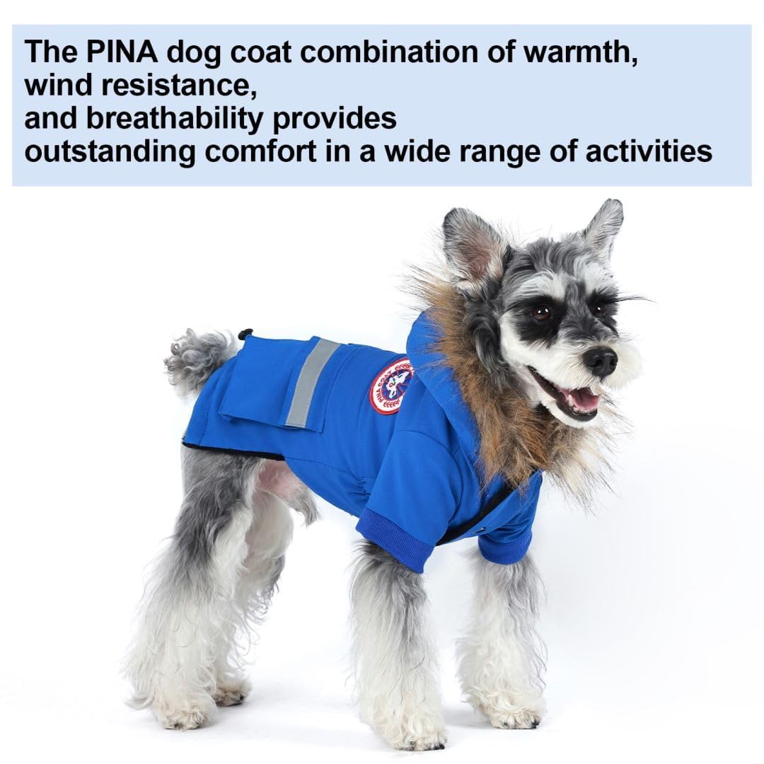 Chaqueta PINA para perro pequeño con bolsillo práctico para accesorios