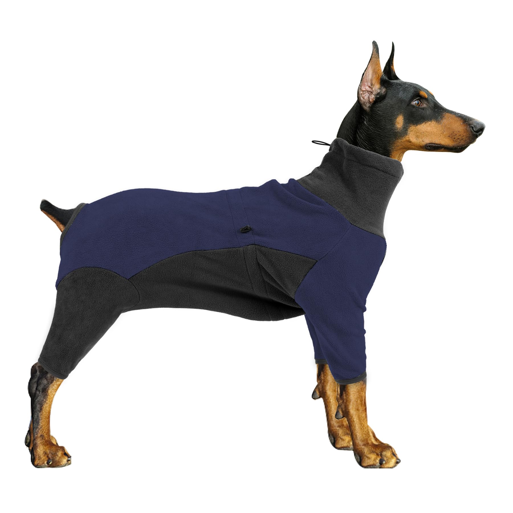 Pinellia capa invierno para perro con forro polar cálido, ideal para paseos fríos.