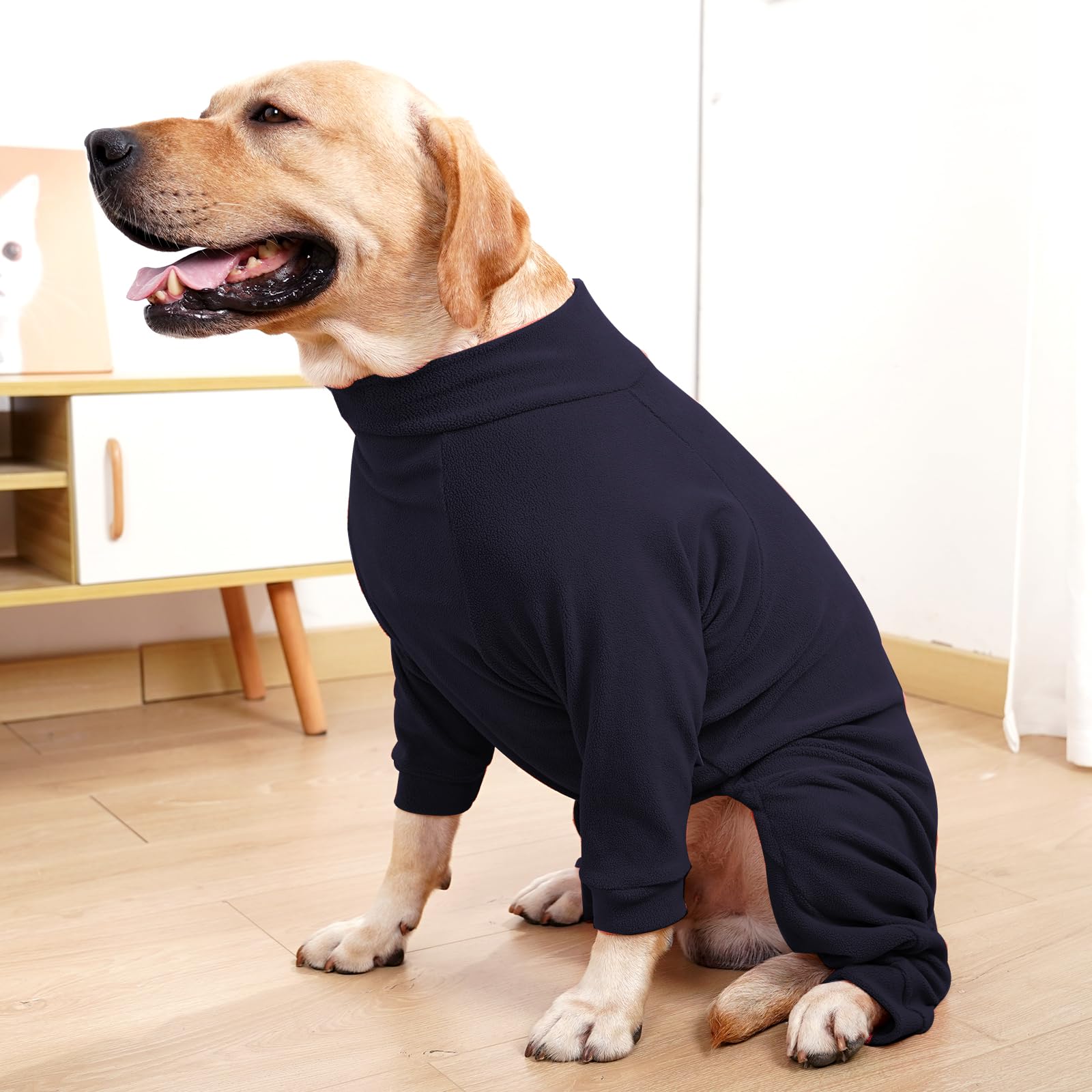 Uso diario y actividades al aire libre: sudadera Pinellia para perro, ideal para paseos y juegos