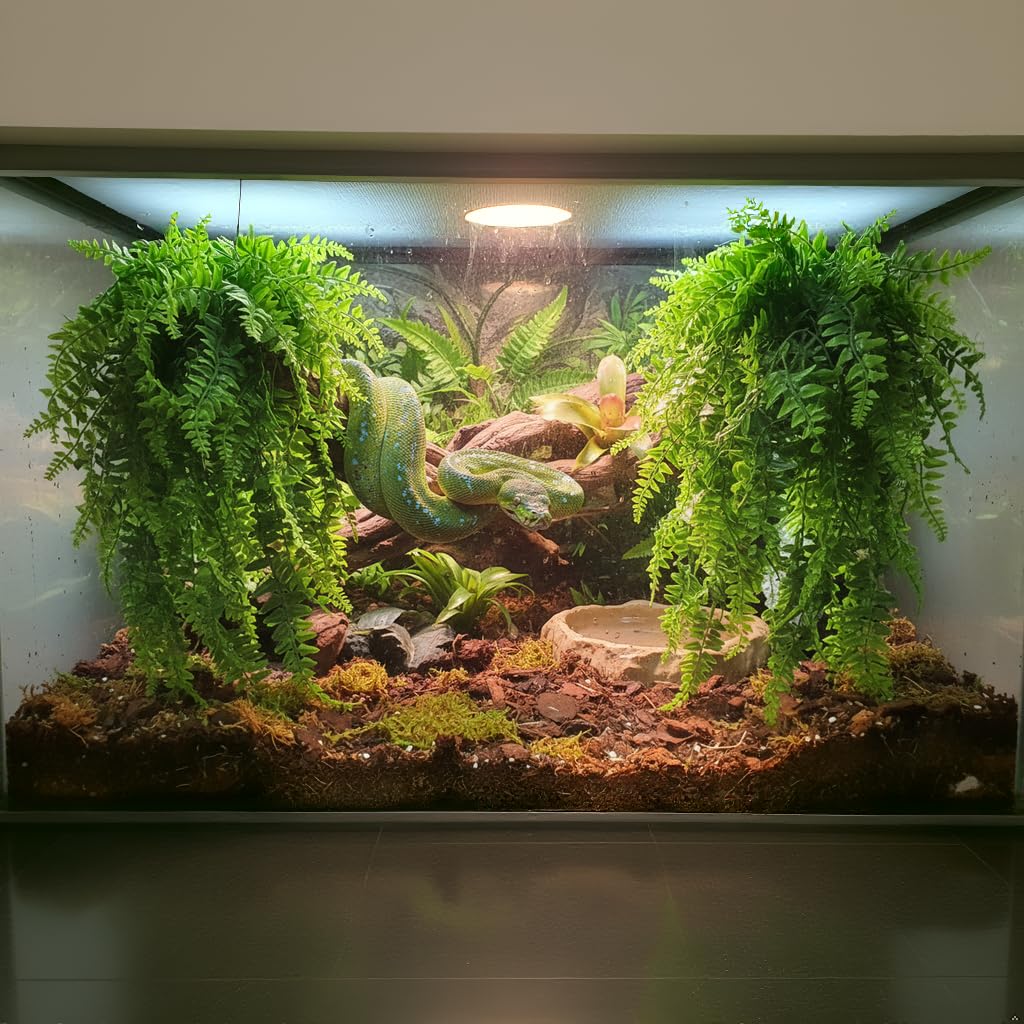 PINVNBY ventosa de sujeción para terrario fija la planta con seguridad.
