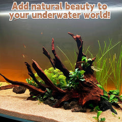 PINVNBY Madera deriva grande, refuerzo natural para musgo y escenografía.
