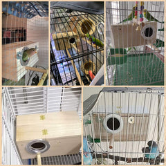 PINVNBY nichoir-bois-entrée-petite: entrée adaptée pour petits oiseaux et protection.