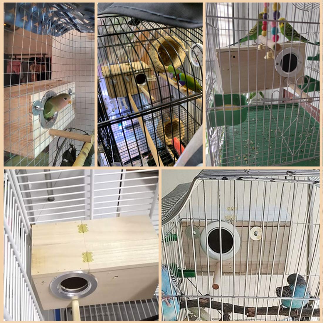 PINVNBY nido con protección contra viento para aves medianas.