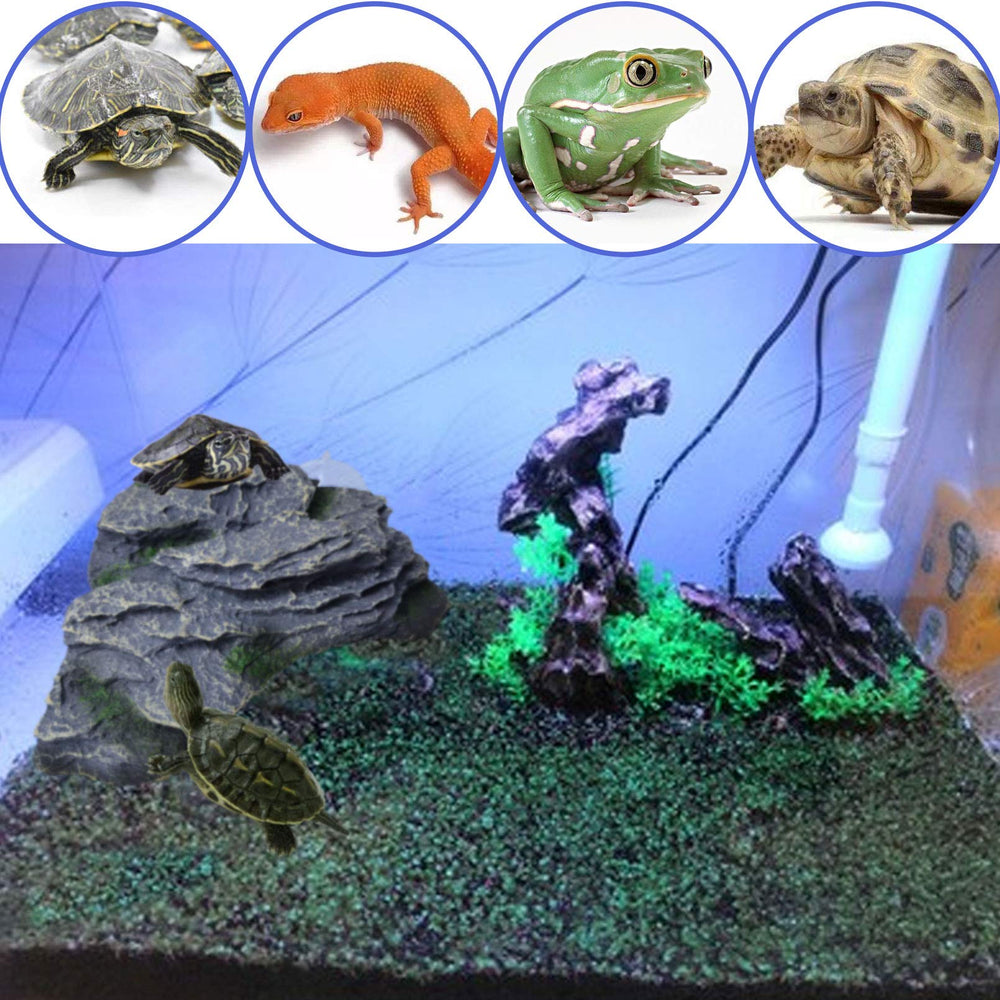 PINVNBY uso acuario tortugas, apto para tortugas, ranas y lagartijas