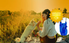 Bolsas desechos Pioneer Pet compatibles con dispensadores de tamaño estándar