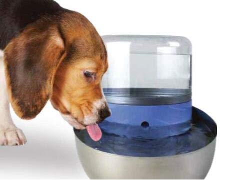 Fuente y bebederos compatibles de Pioneer Pet para uso diario.