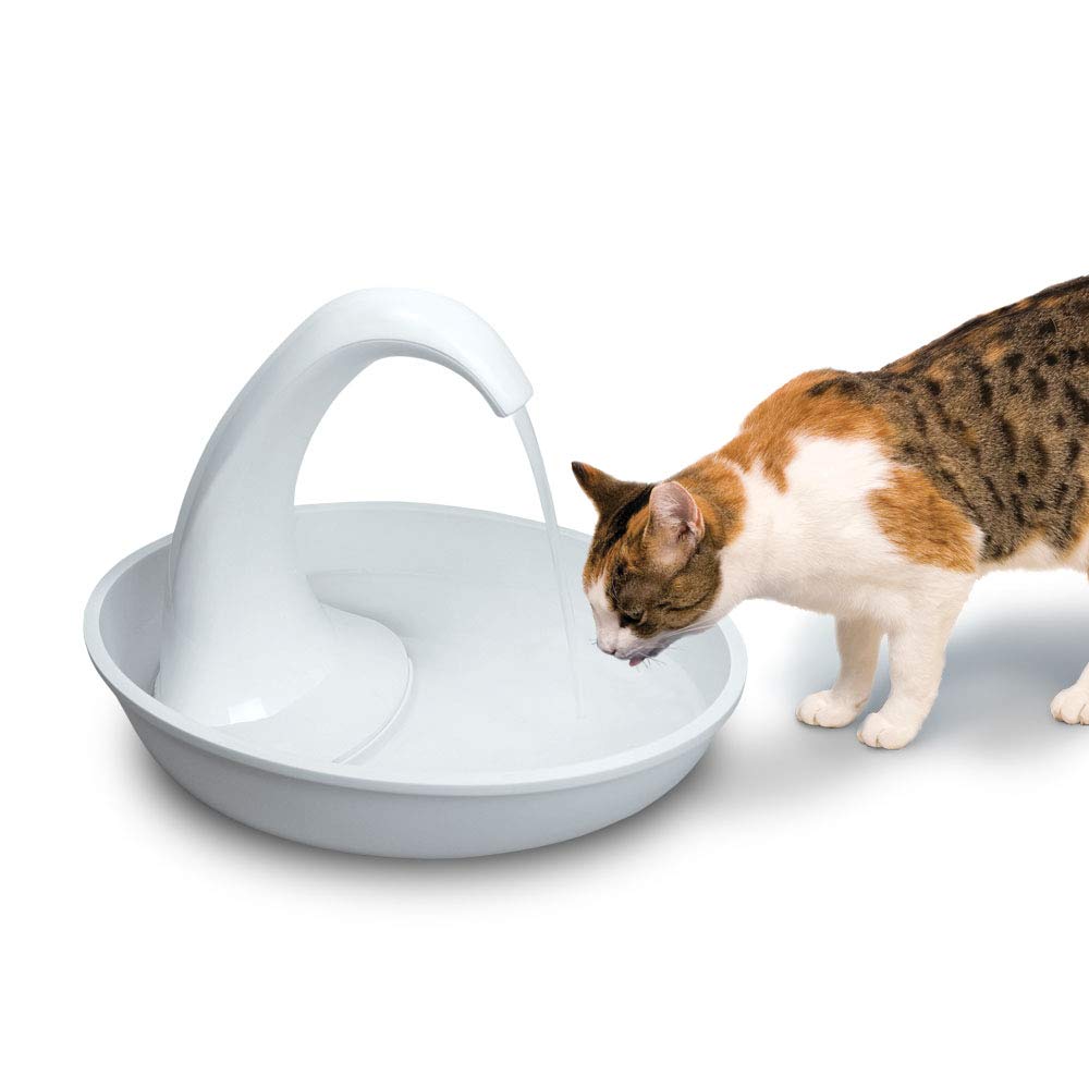 Apto para gatos y perros, ideal para hogares con varias mascotas.