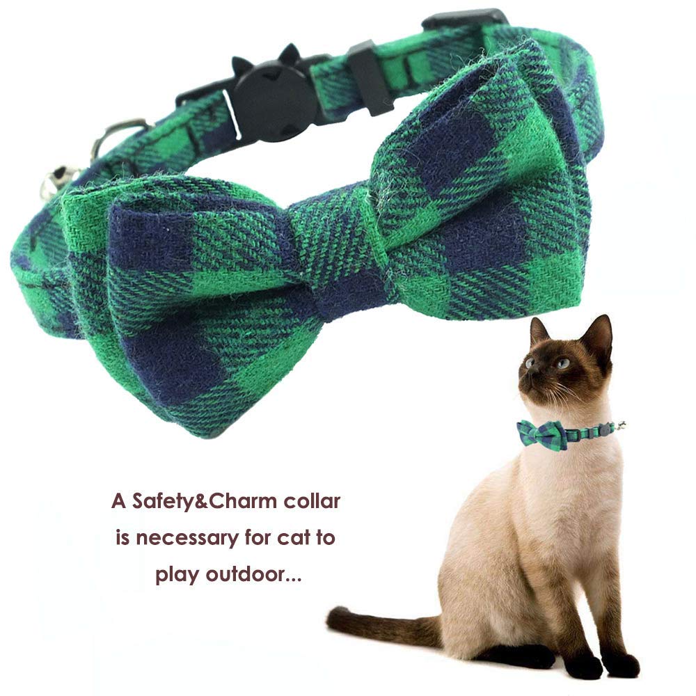 Lazo desmontable en collar Pipidog, diseño elegante para ocasiones especiales.