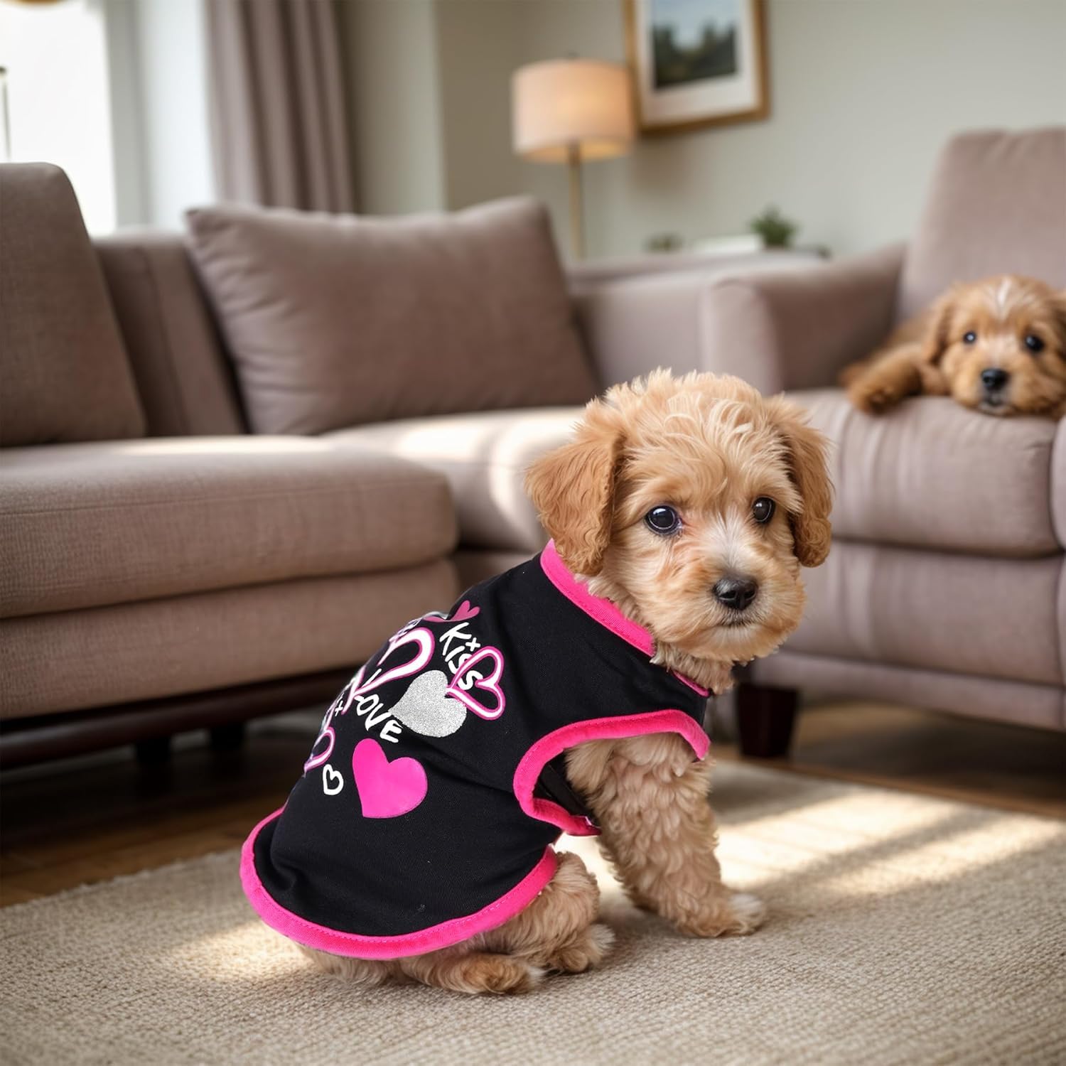 Pistha camiseta para perro talla S; ajuste cómodo