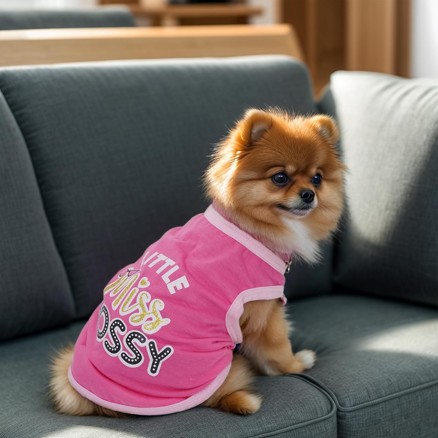 Pistha camiseta para perro con corazones gris; diseño suave