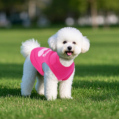 Pistha camisetas para perro, diseño colorido para salidas diarias.