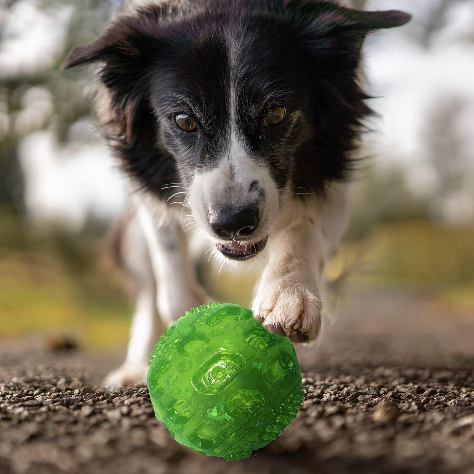 Pelotas PJDH facilitan juegos de búsqueda y recuperación al aire libre.