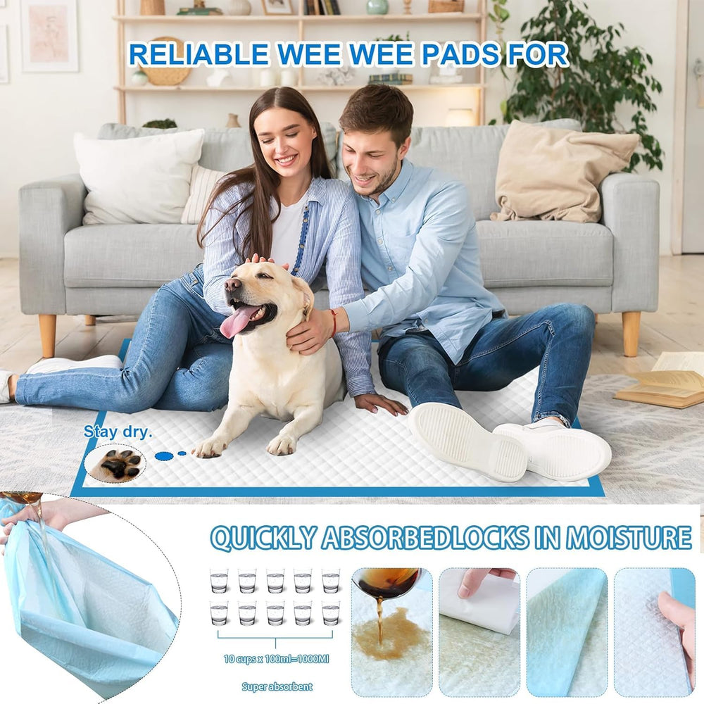 PJYRTOQ sistema anti fugas y capas duraderas para entrenamiento de perros.