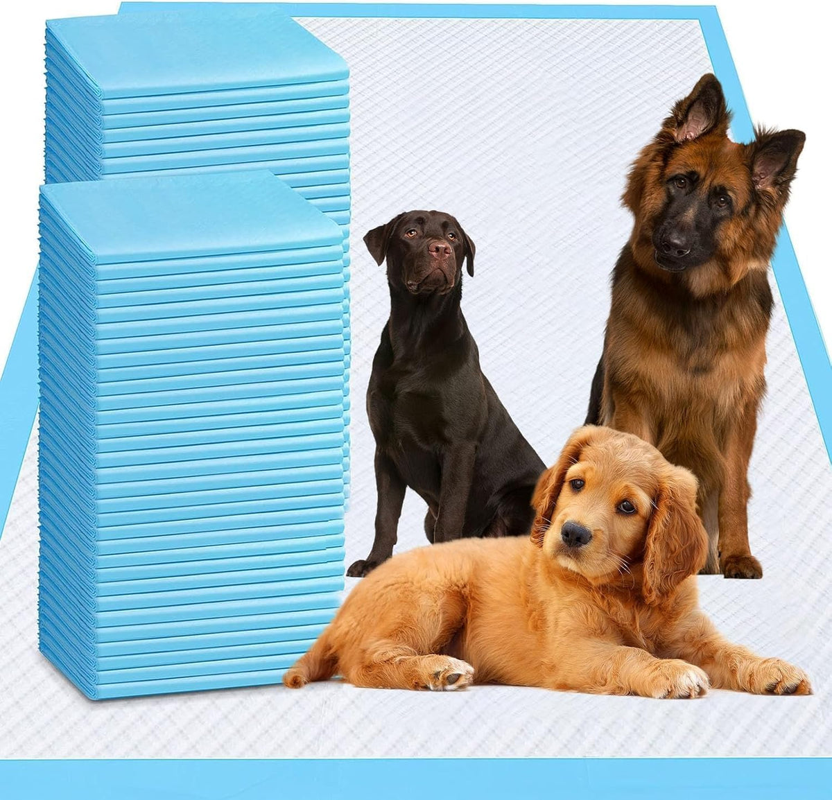 PJYRTOQ pads absorción ultra: protege el suelo manteniéndolo seco.